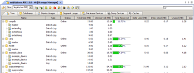 Sybase DBA Tools Storage Manager