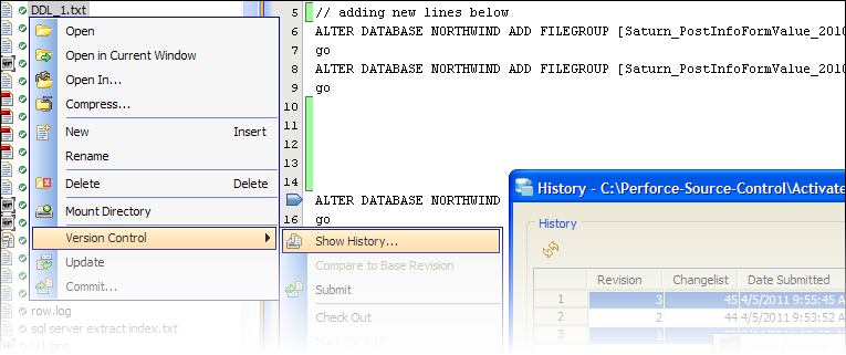 Perforce Version Control Support