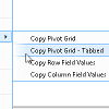 Copy Pivot Grid and Copy Pivot Grid Tabbed